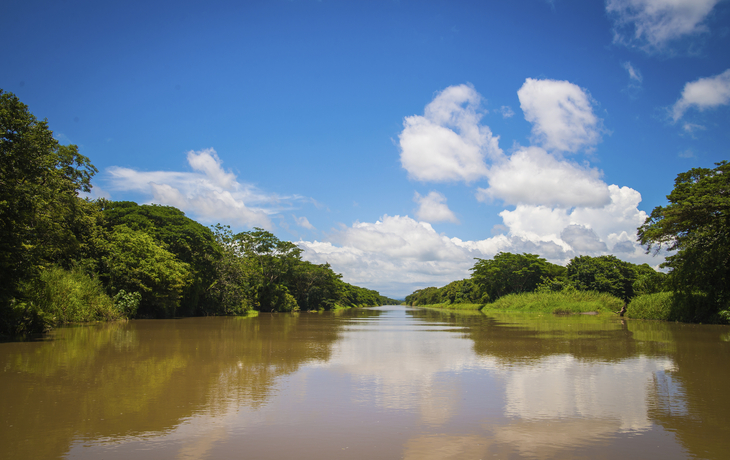 Marina Flamingo, Palo Verde