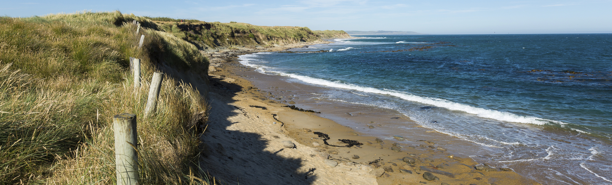 Küstenlandschaft Eagle Bluff, Neuseeland