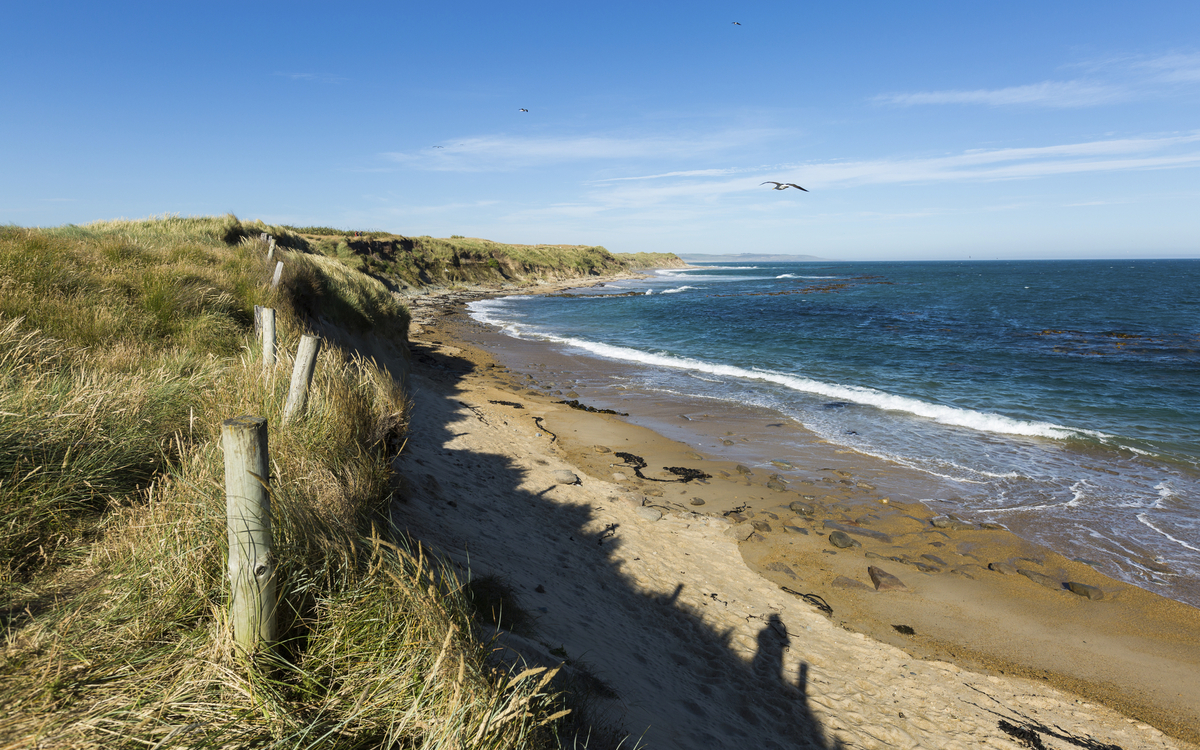 Küstenlandschaft Eagle Bluff, Neuseeland