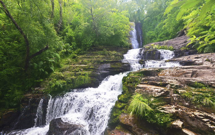 The Catlins Mac Lean Wasserfall in Bluff, Neuseeland