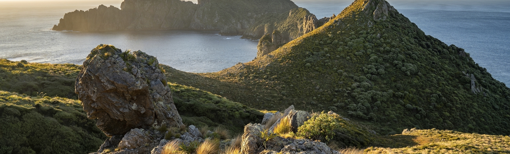 Steward Inseln, Rakiura Nationapark