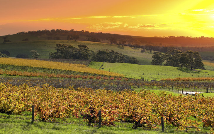 Barossa-Tal in Adelaide, Australien
