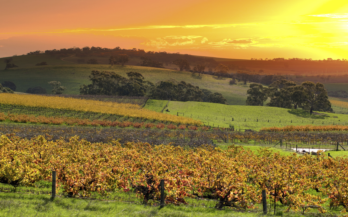 Barossa-Tal in Adelaide, Australien