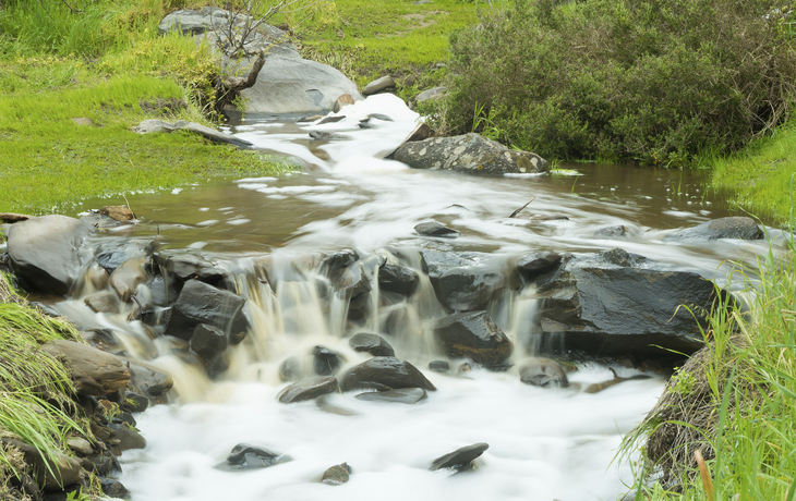 Bach in Penneshaw, Australien