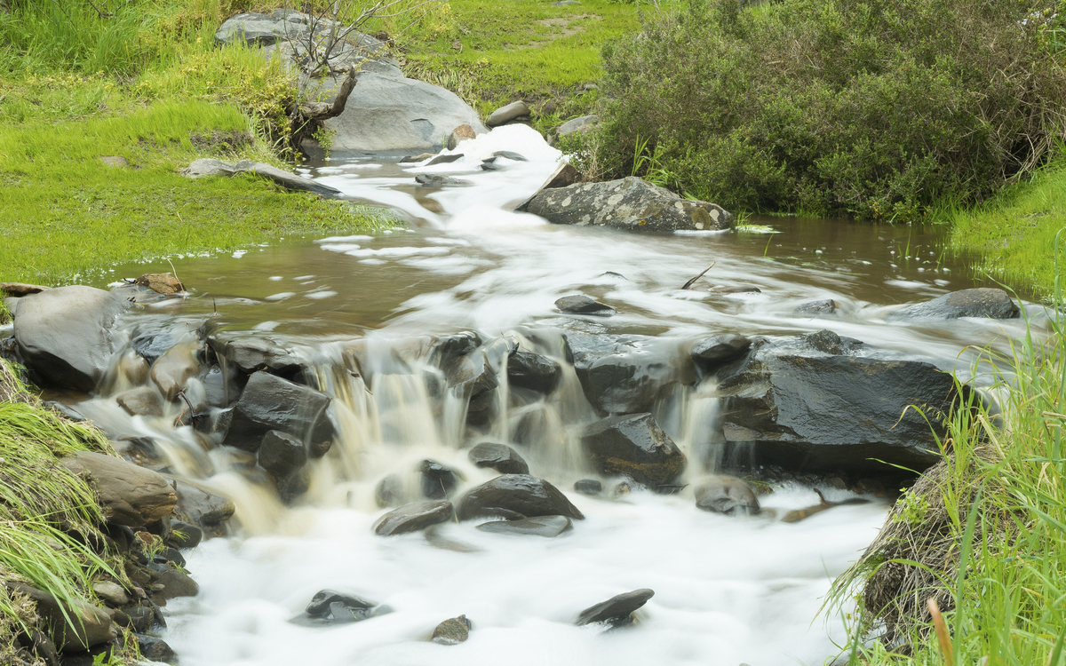 Bach in Penneshaw, Australien
