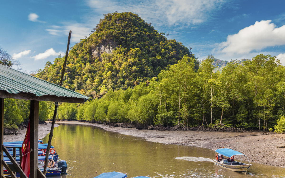 Malaysia, Mangroventour