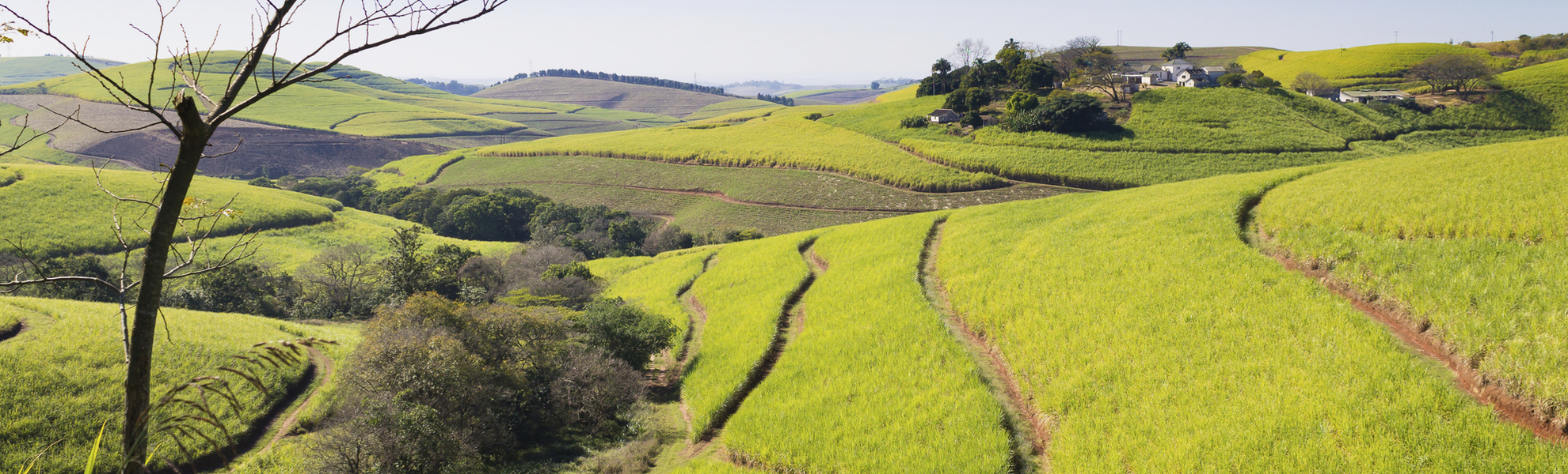 Tal der tausend Hügel in Durban, Südafrika