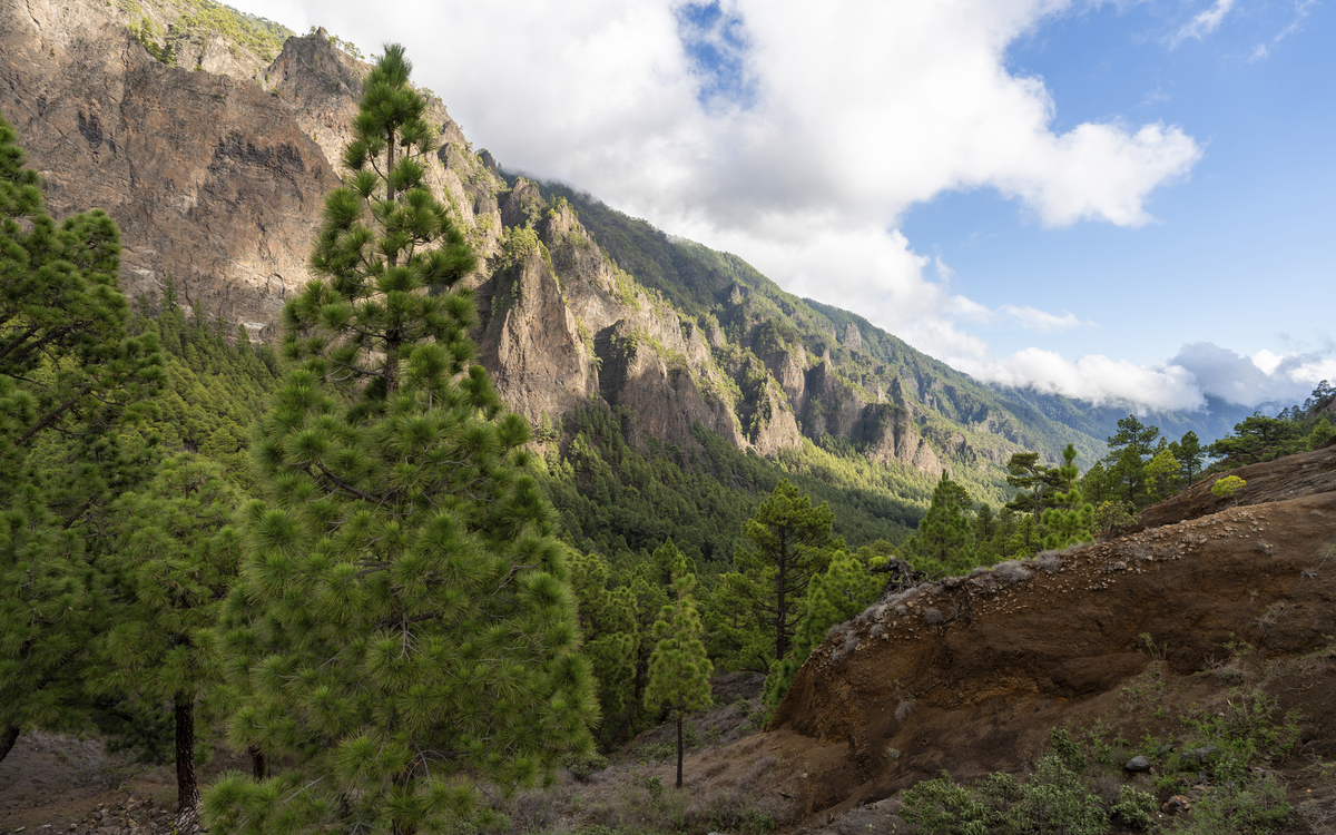 La Palma, Ausflug Taburiente