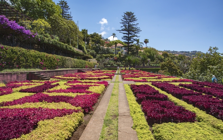 Gärten in Funchal
