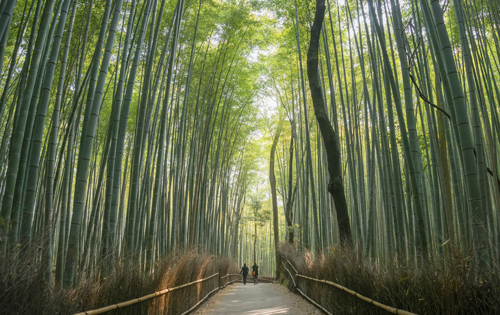 Arashiyama in Kyoto, Japan