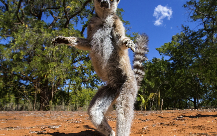 Insel der Lemuren, Madagaskar