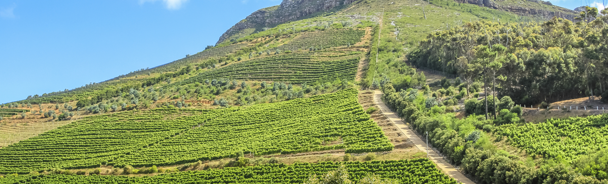 Kapstadt, Groot Constantia, Südafrika