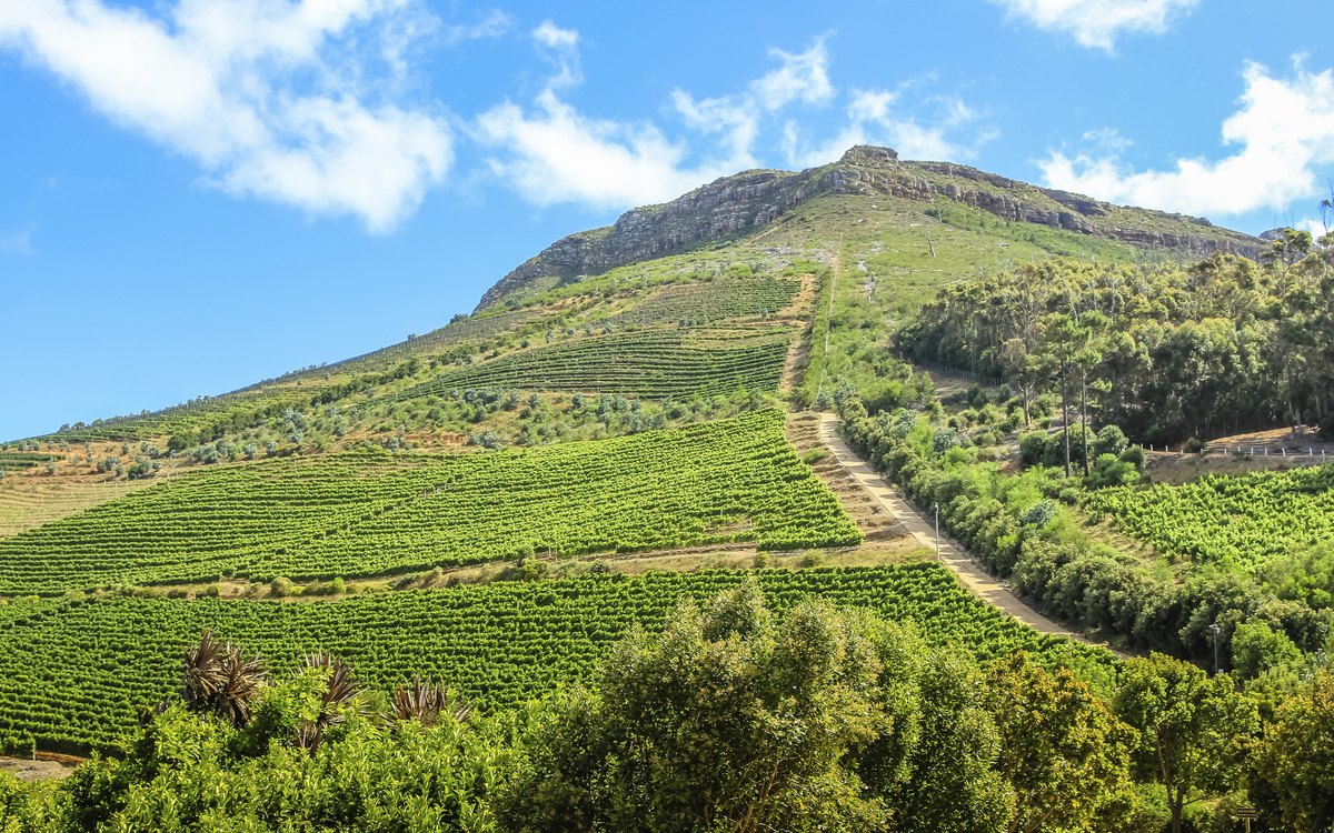 Kapstadt, Groot Constantia, Südafrika