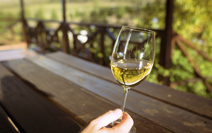 Weinregion Stellenbosch