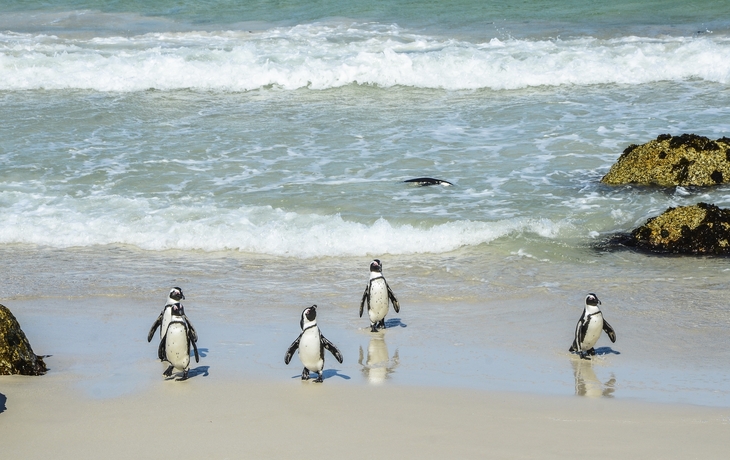 Kap der Guten HOffnung