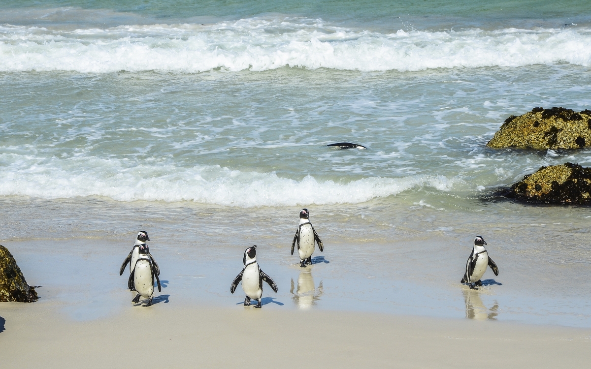 Kap der Guten Hoffnung
