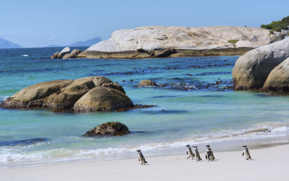 Boulders Beach, Südafrika