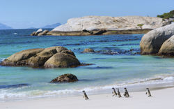 Boulders Beach, Südafrika