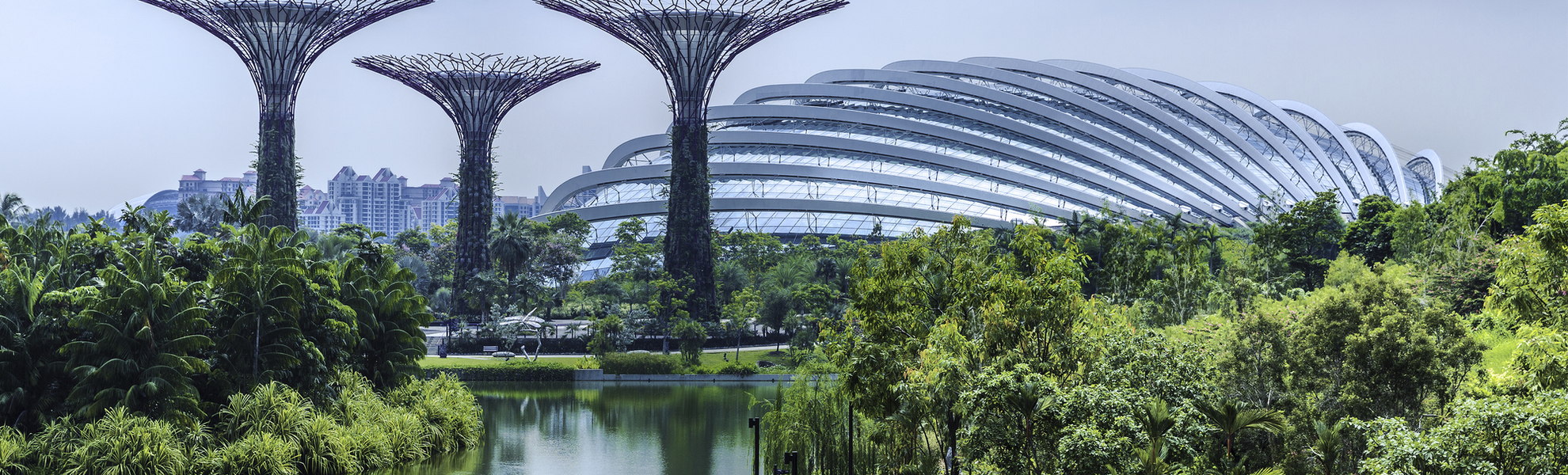 Gardens by the Bay in Singapur