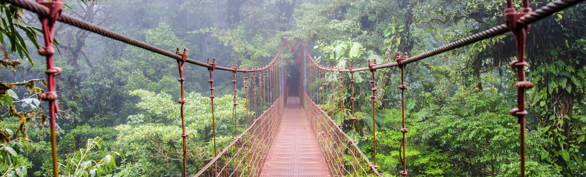 Monteverde Hängebrücke in Costa Rica