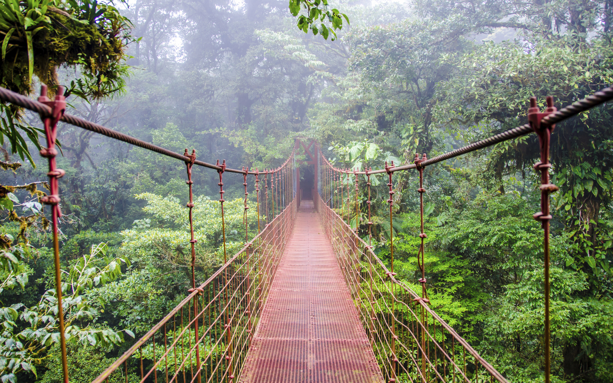 Monteverde Hängebrücke in Costa Rica