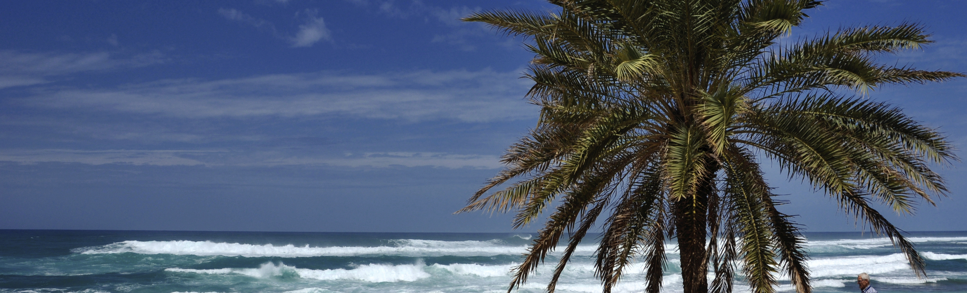 Strand von Honolulu, USA