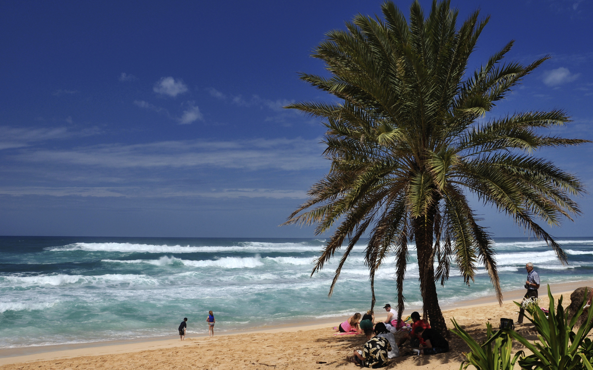 Strand von Honolulu, USA