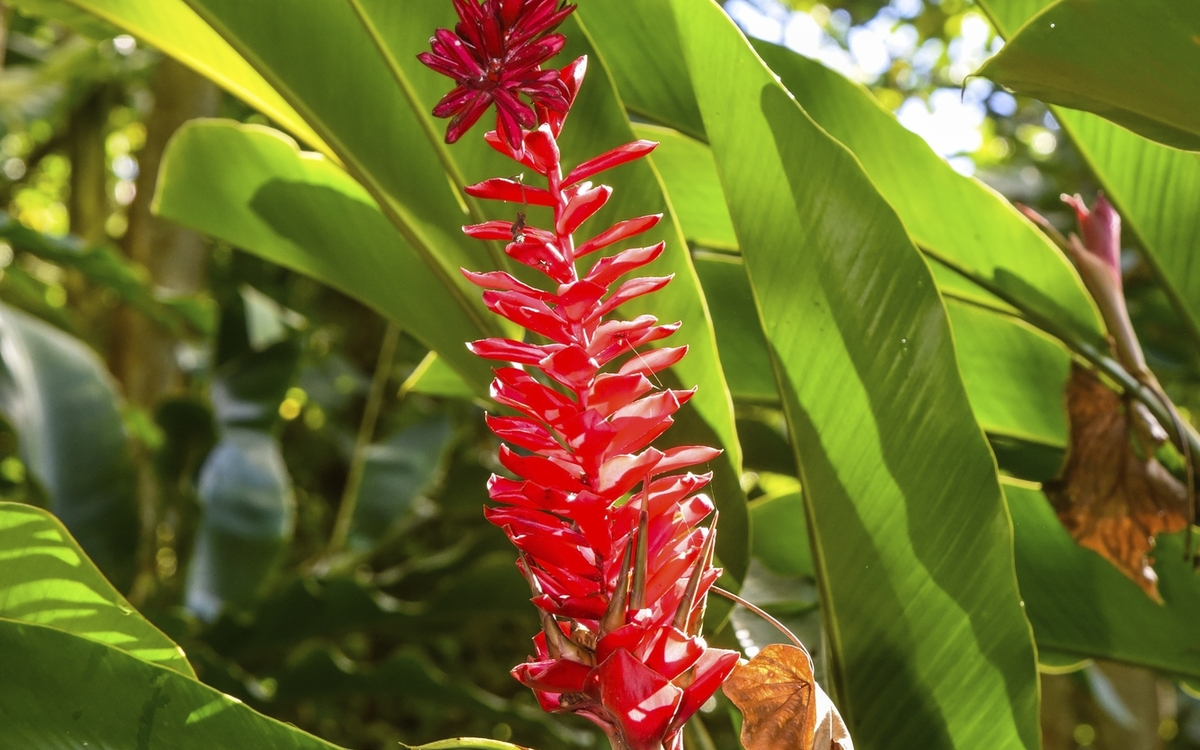 Hawaii, Nawiliwili