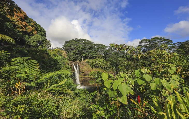 Hawaii, Akaka Wasserfälle