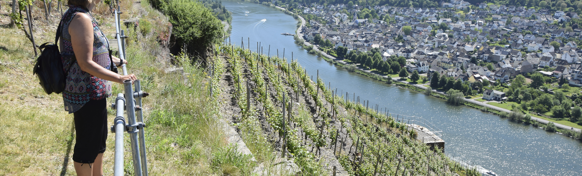 Rheinpanorama bei Koblenz
