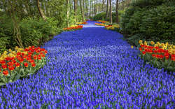 Holland und Flandern