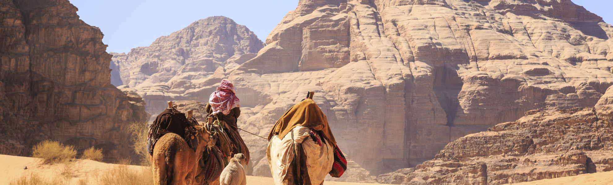 Kamele in Wadi Rum, Jordanien