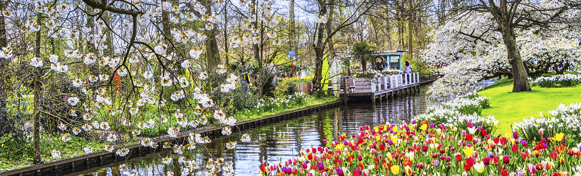 Tulpen auf dem Keukenhof, Niederlande