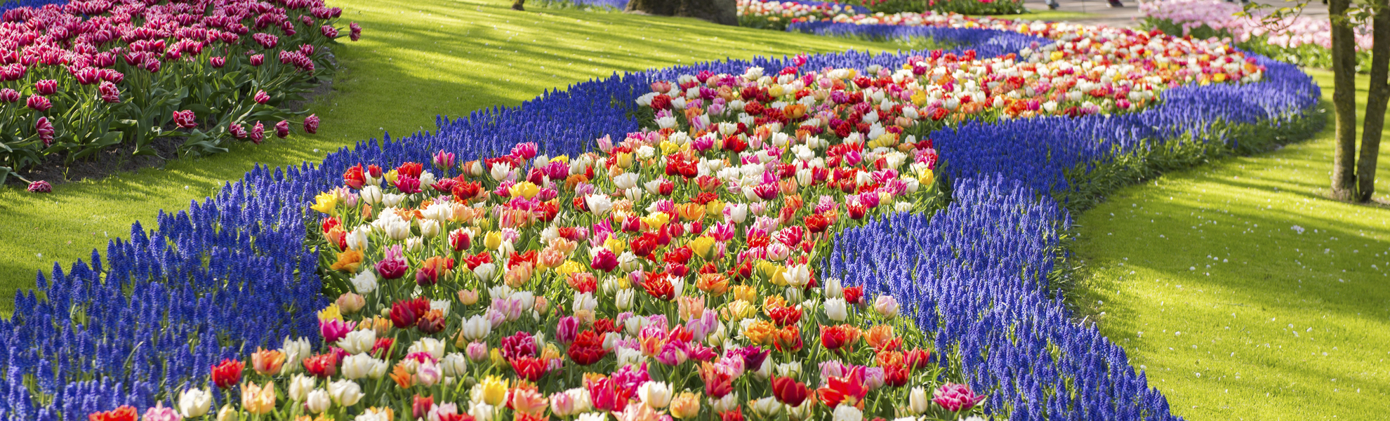 Tulpenpracht auf dem Keukenhof, Niederlande