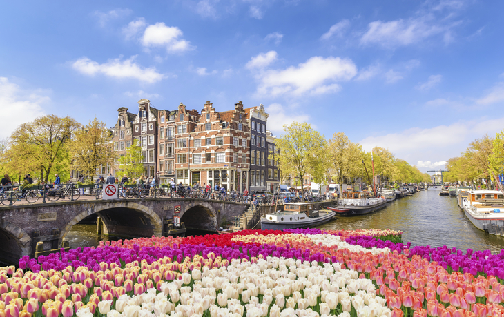 Blumen in Amsterdam, Niederlande