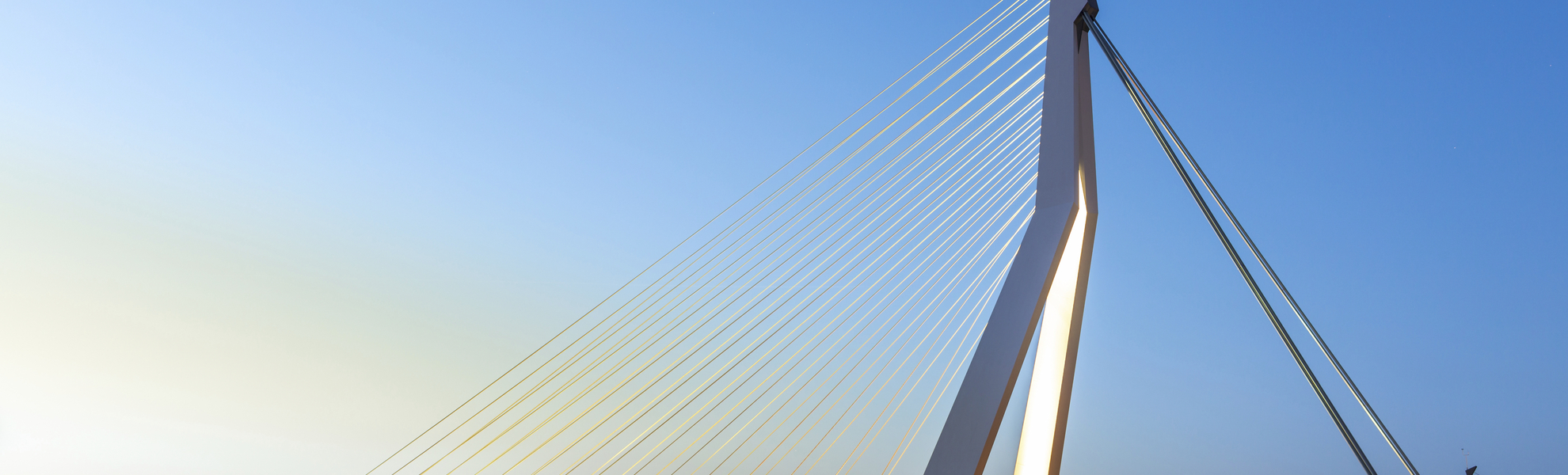 Die Erasmusbruecke in Rotterdam,  Niederlande