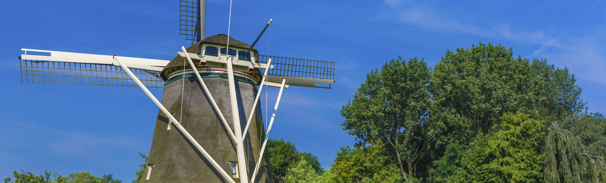 Riekermolen, Windmühlen