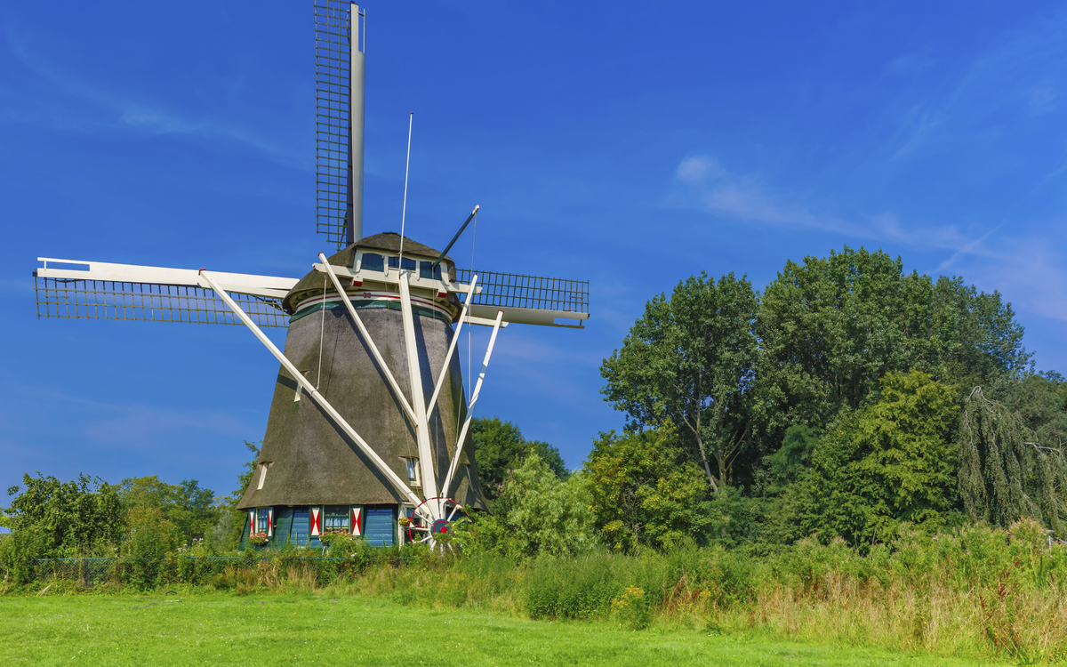 Riekermolen, Windmühlen