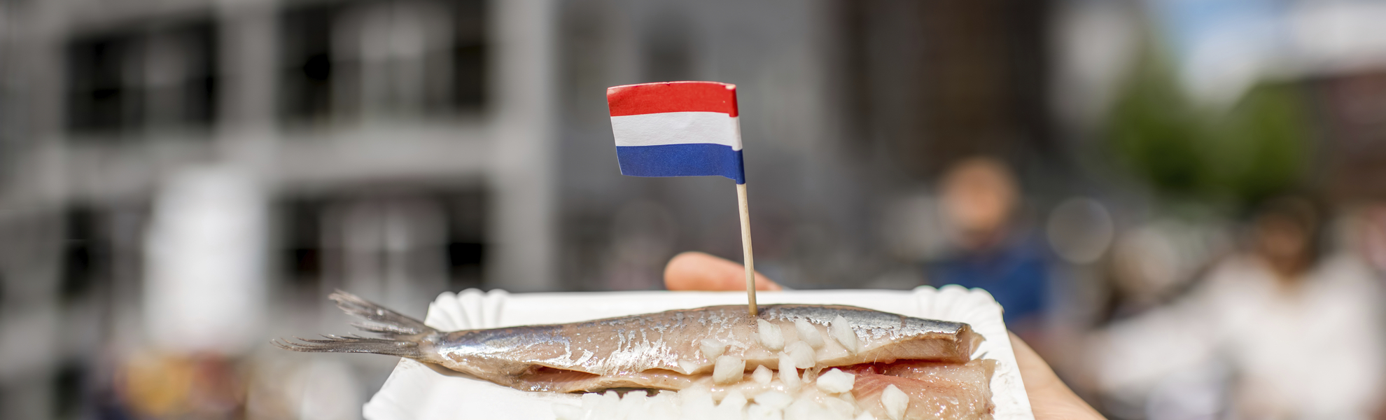 Rotterdam, Markthalle