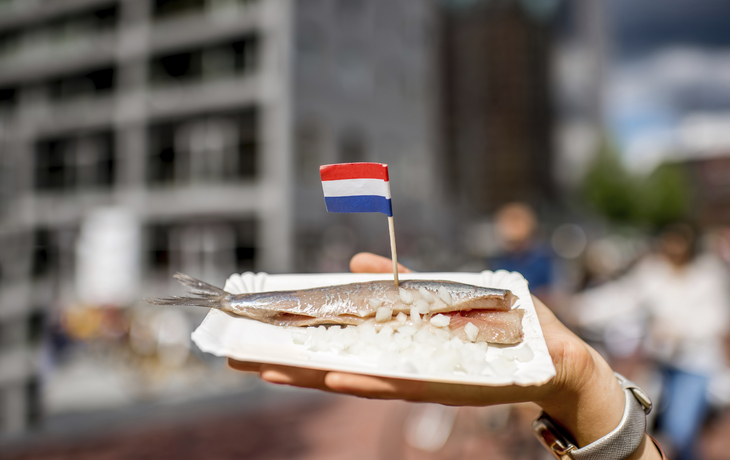 Rotterdam, Markthalle