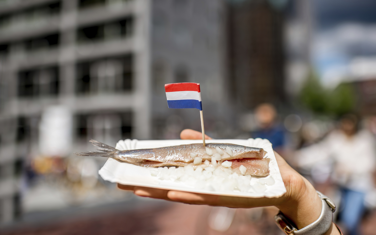 Rotterdam, Markthalle