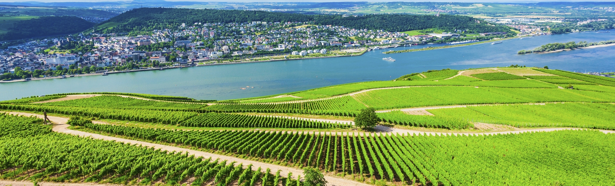 Rüdesheim