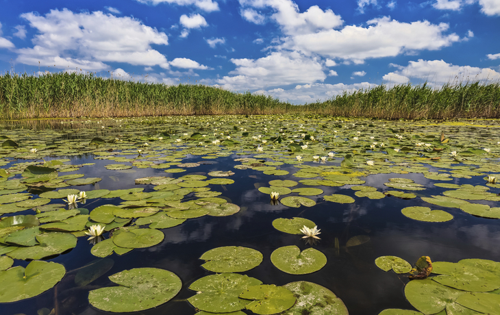 Donaudelta in Rumänien