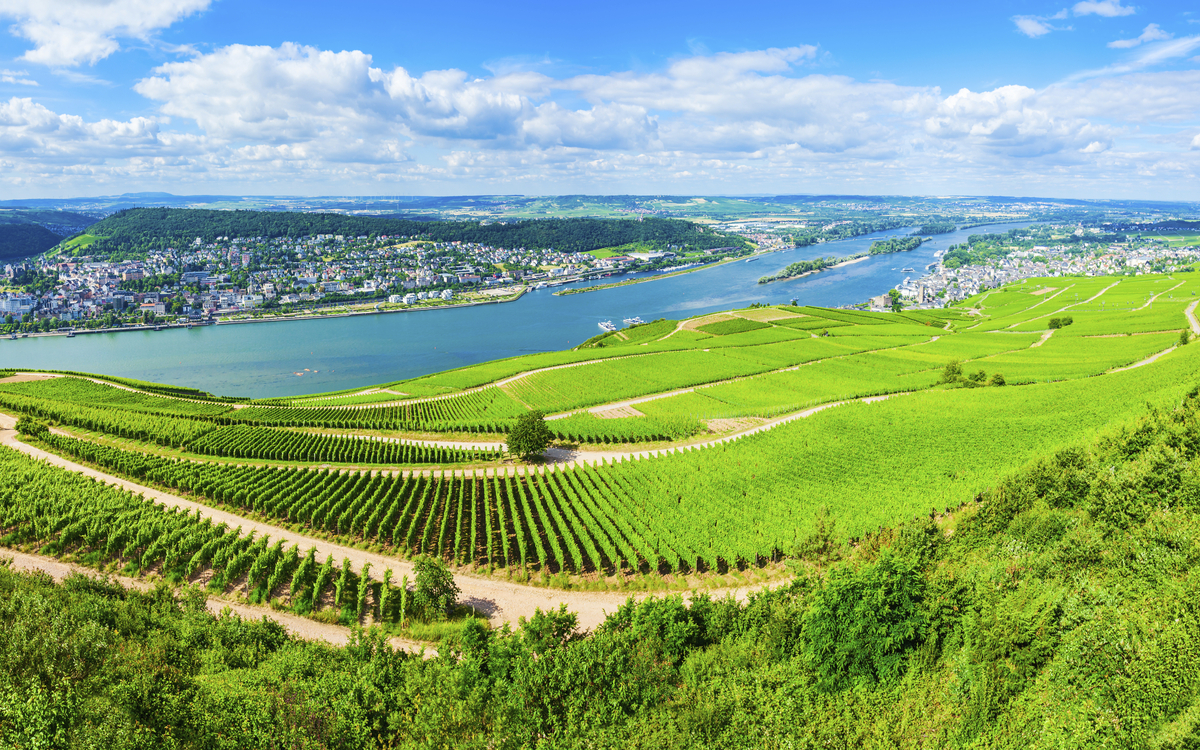 Bingen am Rhein