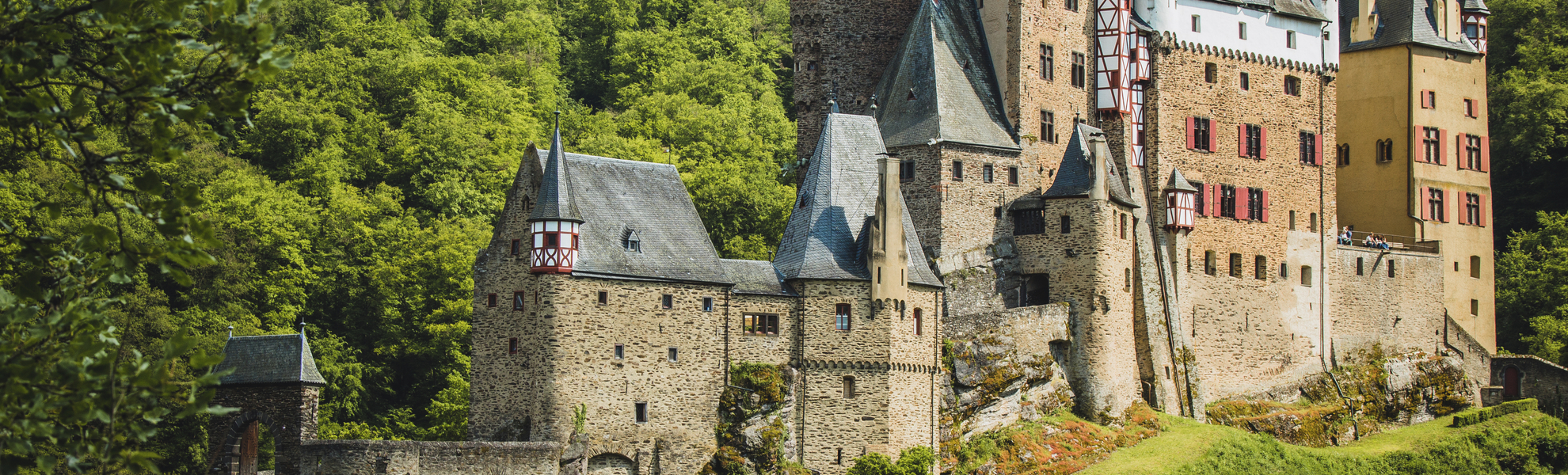 Burg Elz