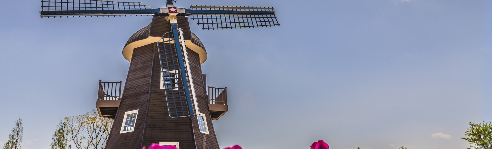 Windmühle inmitten von Tulpen, Niederlanden