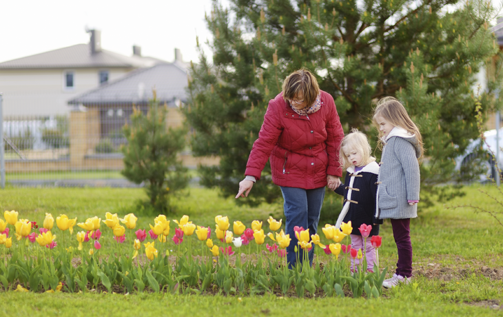 Keukenhof