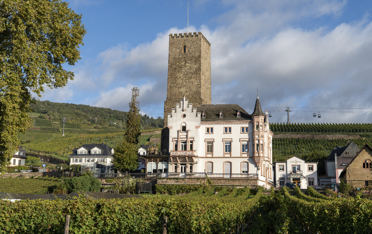 Rüdesheim, Weinmuseum Bromeser Burg