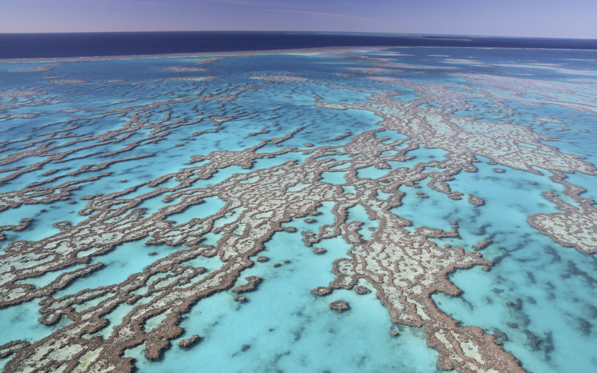 Blick aus der Luft auf das Great Barrier Reef, Australien