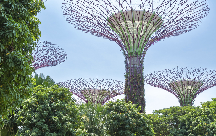 Gardens by the Bay